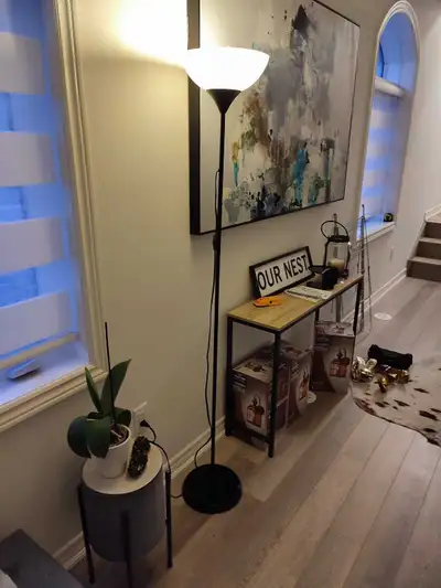 Black Floor Lamp , View more