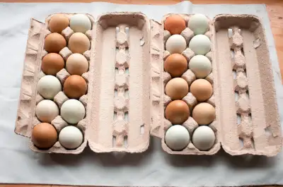 Backyard Eggs, View more