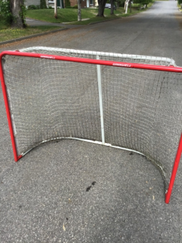 Grand but pour hockey de rue dans Hockey  à Lac-Saint-Jean