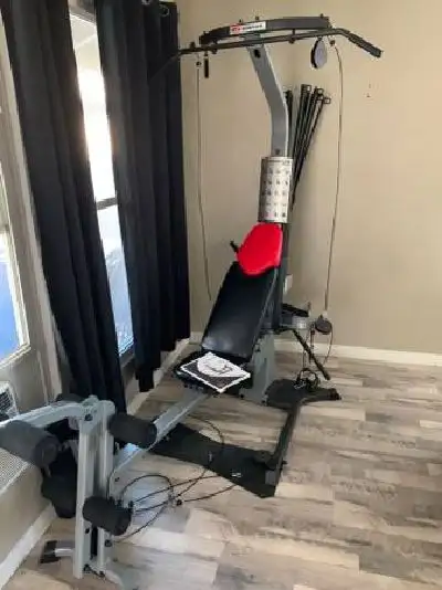 BowFleX BlaZe with 310 Pound Upgrade gym weights exercise, View more