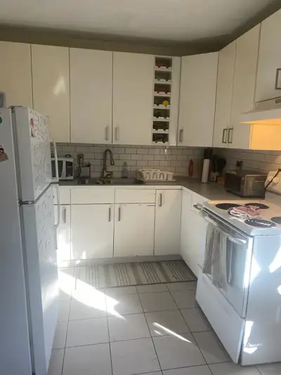Looking for roommate