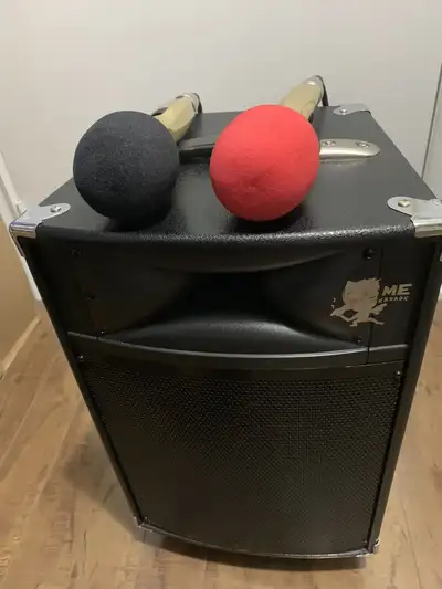 Portable Karaoke Amplifier/Speaker 300 watts rms for $180, View more