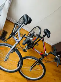2 Bicycle Supercycle