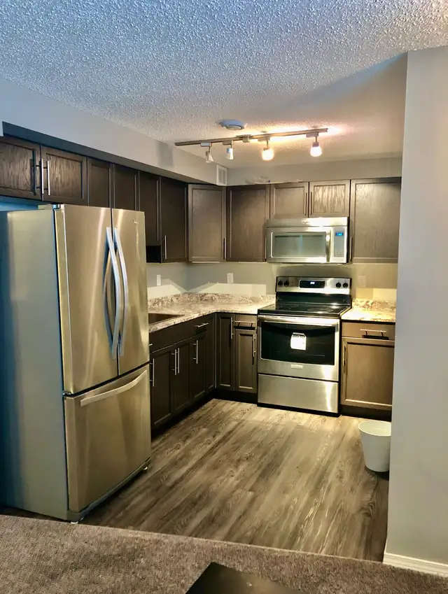 1 Bedroom 1 Bathroom Basesment