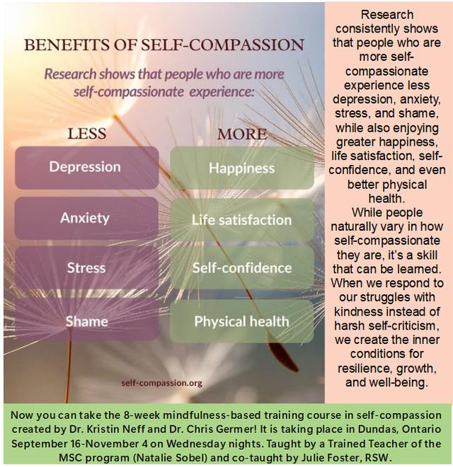 Mindfulness and Self-Compassion Course553392892816936968