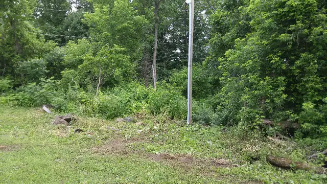 Branch/Downed Tree Removal, Core Aeration, Brush Cutting + more62863722458625124