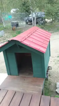 Great big dog house