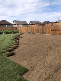 Sod Installation 