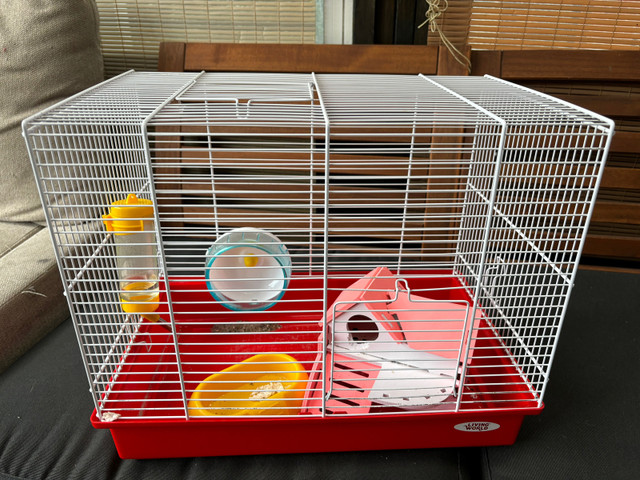 Cage pour hamster dans Jouets et jeux  à Laval/Rive Nord