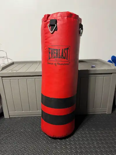 Everlast punching bag, View more