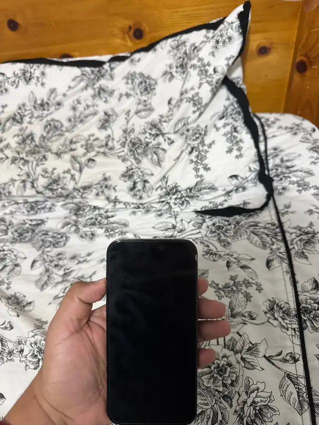 i phone 14 Pro max64689496168707121