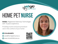 Home Pet Nurse (In-Home Pet Services)