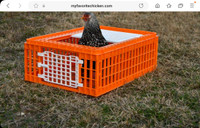 Looking for chicken or turkey crates