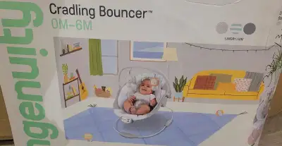 Ingenuity Cradling Bouncer Seat Vibration  Melodies Landry, View more