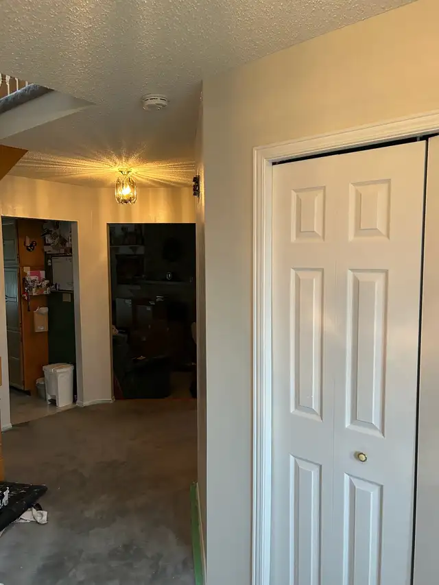 Professional painter65669420946818121