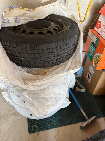Michelin X-Ice 205/65/r16