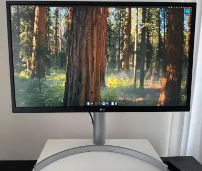 Available if ad is up. Cash payment and pickup only. LG 27inch 4K IPS LED monitor. Excellent conditi...