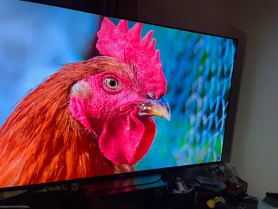 Hi, The tv on sale now is 65 inches 4K smart tv LED. Please contact me FaceTime see it on Iphone oe...