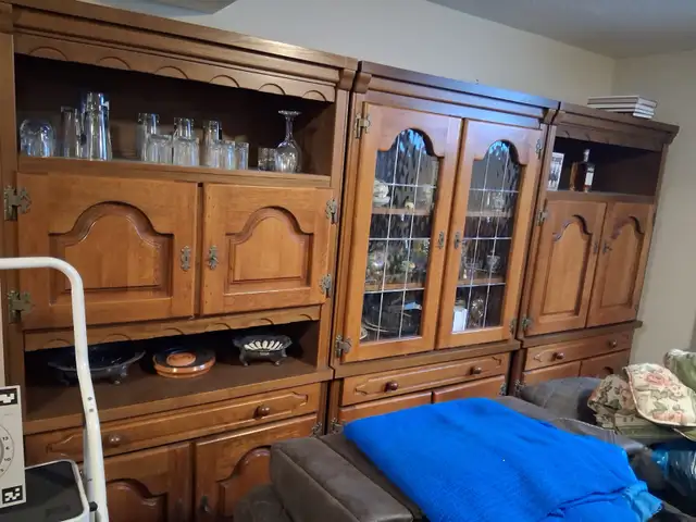 Wood cabinets in Bookcases & Shelving Units in Guelph - Image 2
