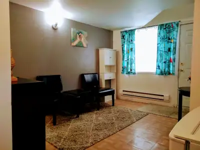 Petit 2 1/2 Metro Frontenac, Libre immediat, Meubles, Renoves