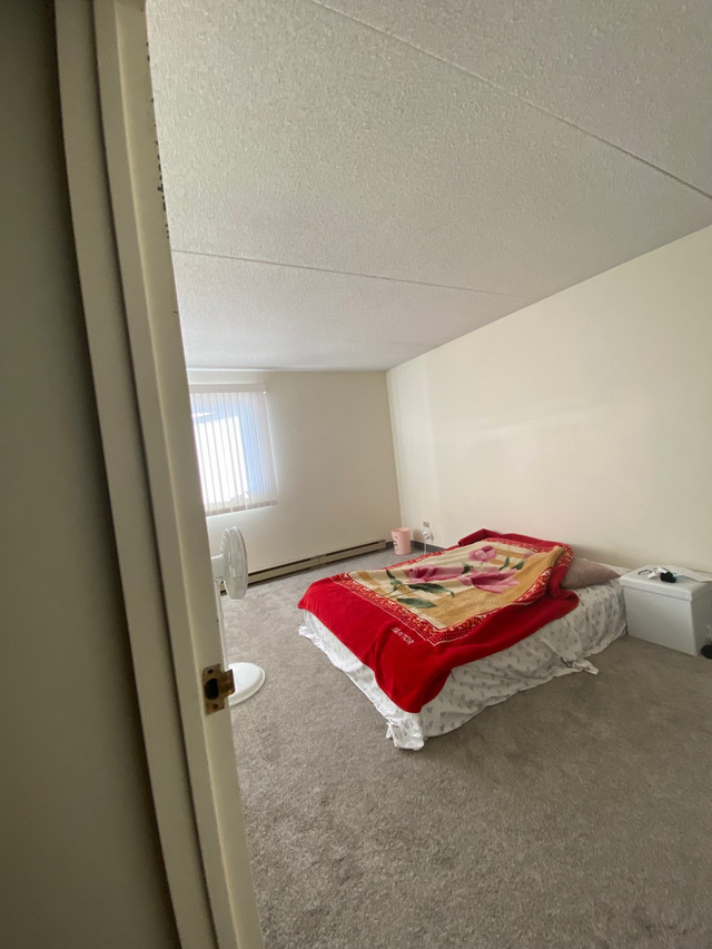 Master bedroom for rent on Pembina highway from July 1 Room Rentals