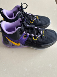 Nike basketball shoes Lebron witness 7