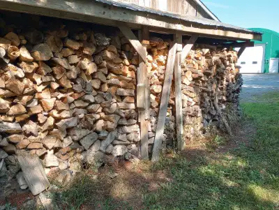 Dry fire wood all hard wood 110 per cord picked up No delivery available 6 cords available stittsvil...