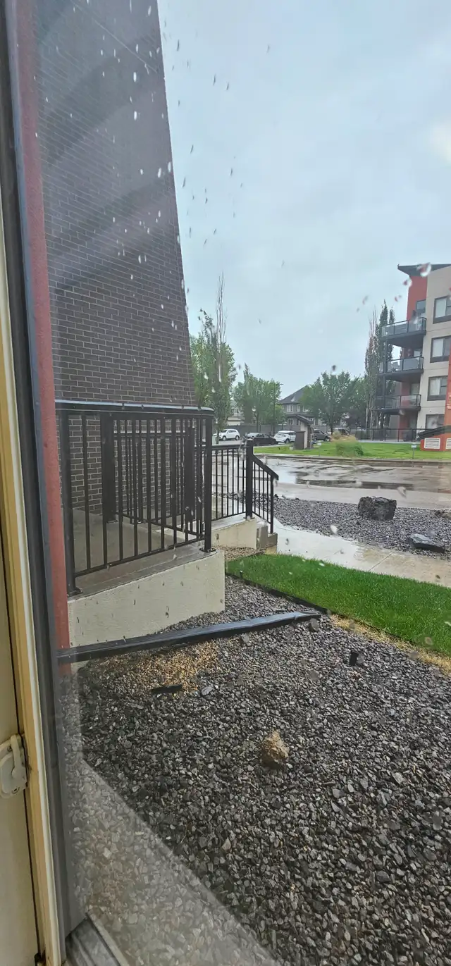 Move-In Ready 2-Bed, 2-Bath Condo in Ambleside in Long Term Rentals in Edmonton - Image 29