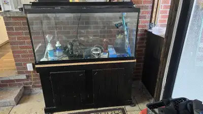 93 gallon fish tank, View more