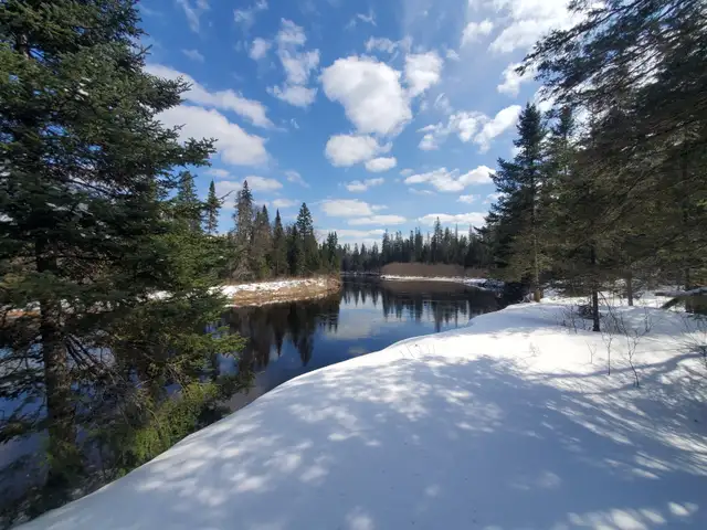 Solitude Glamping in the middle of Muskoka bush! in Ontario in Canada - Image 3