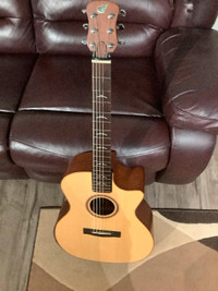 acoustic/electric collapsible travel guitar