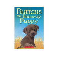 HOLLY WEBB - Buttons the Runaway Puppy Paperback