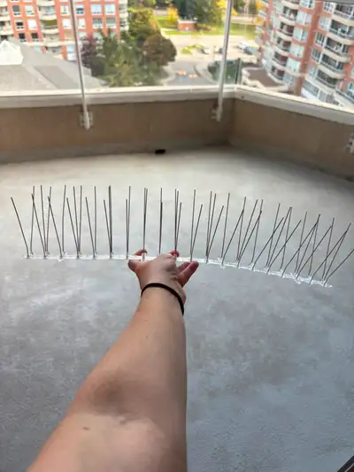 Free 20 Inch Bird Deterrent, View more