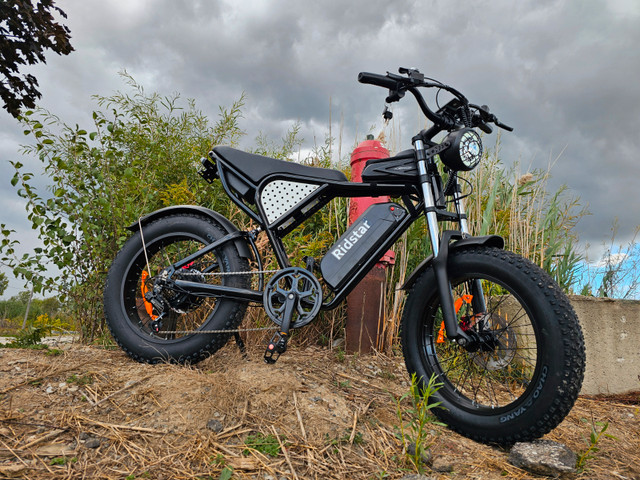Discover Your City's Secrets with the Zeus Q20 Moped Ebike. in eBike in City of Toronto - Image 3