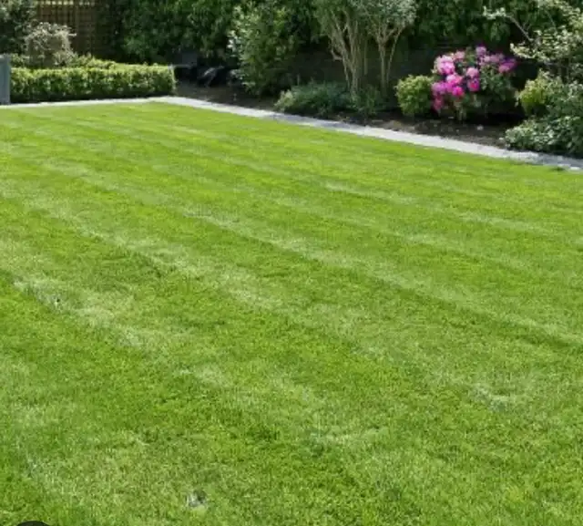 ACES LAWN  CARE $40 & up628632372014101212