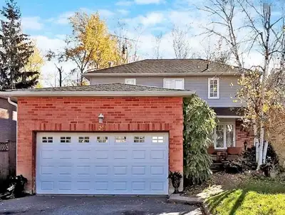 1 bedroom basement apartment