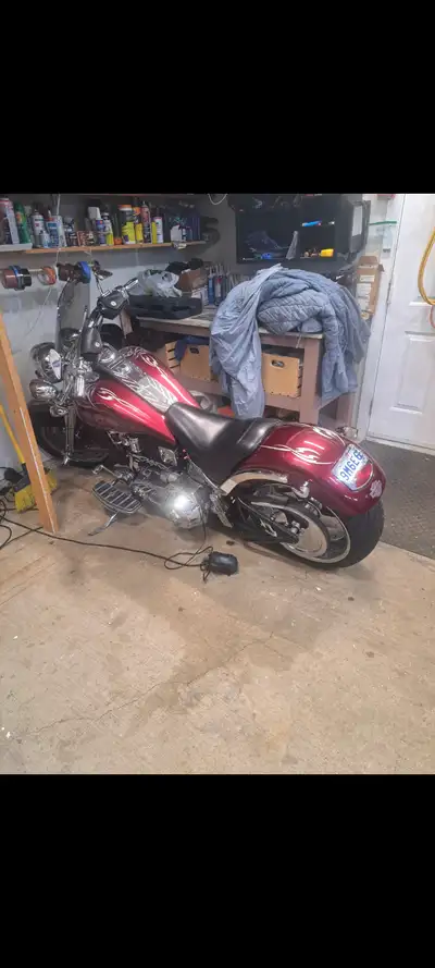 1997 harley softail 30,000 kms 240 mm rear custom paint stretch tank vance and hines pipes 100% mint...
