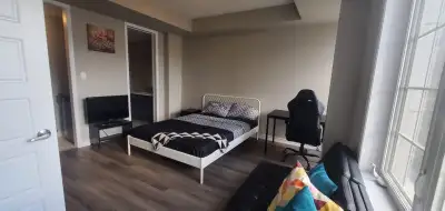 This is a stunning bachelor apartment in the best and newest area of Milton. Offers great features l...