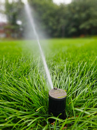 NIMAZI GREEN Lawn sprinkler system & outdoor lighting service