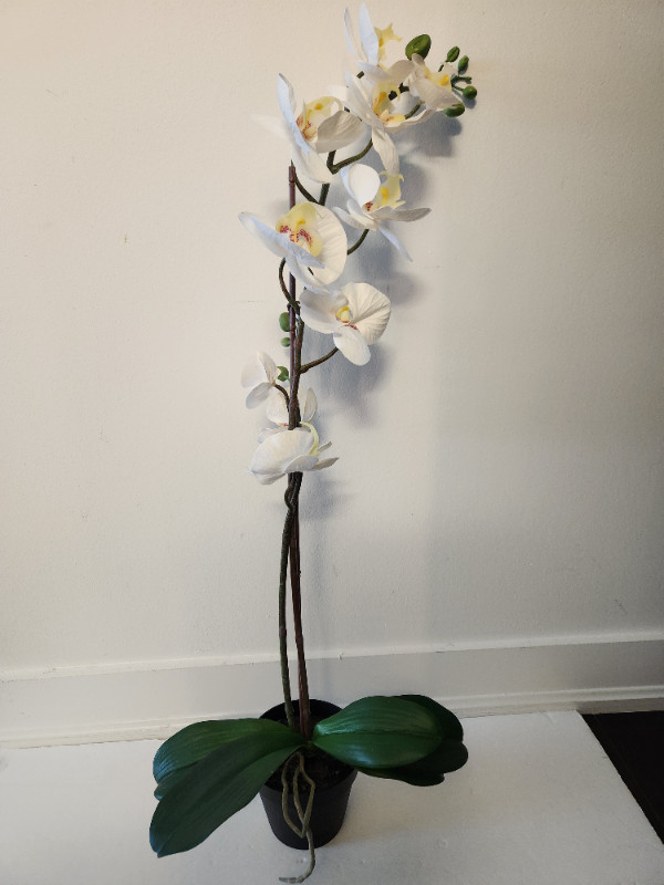 IKEA Artificial potted plant, Orchid white in Home Décor & Accents in City of Toronto - Image 4