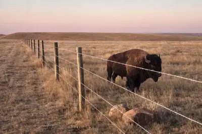 Custom Cattle & Acreage Fence, View more