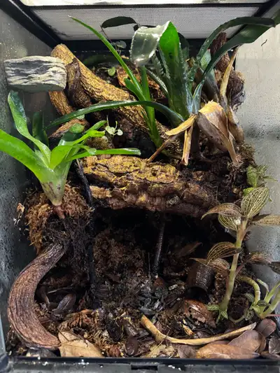 12x12x18 Bioactive, View more