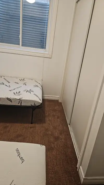 1 basement bedroom for rental