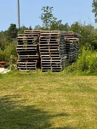 Free wood Pallets, View more