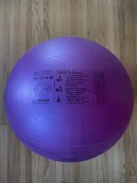 Duraball Classic Ball Purple (Fitter First)  55 cm