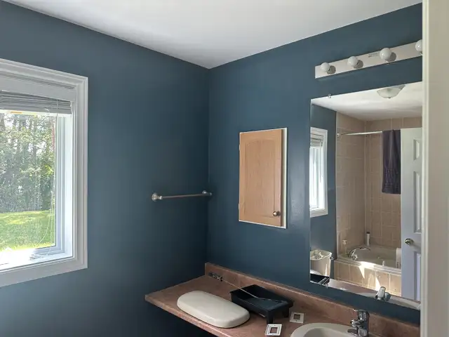 Red Seal Mater Painter64141827992577123