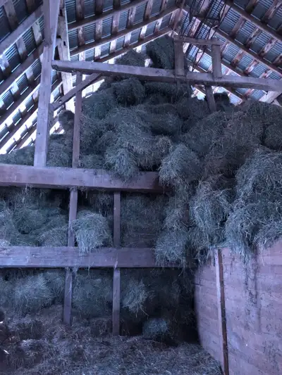 hay bales, View more