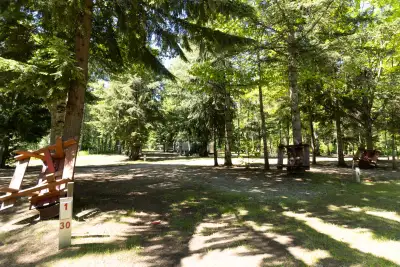 Own your mountain escape in Revelstoke. Nestled between the Monashee and Selkirk ranges, these fully...