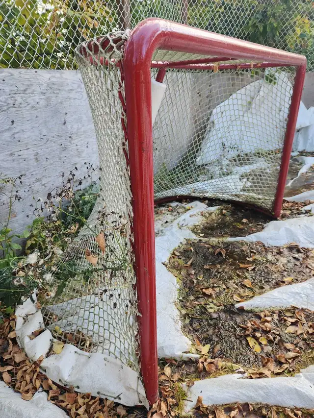 OUTDOOR HOCKEY RINK -  NETS are SOLD! in Hockey in Portage la Prairie - Image 4
