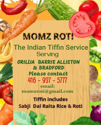 Tiffin service Indian 